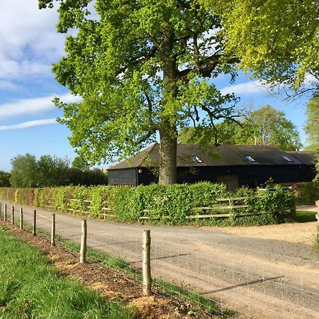 Bed and Breakfast Mulberry Barn Micheldever Экстерьер фото